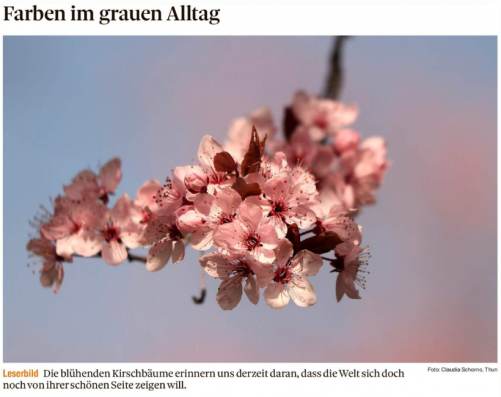 Leserbild Thuner Tagblatt und Berner Zeitung 3.April 2020