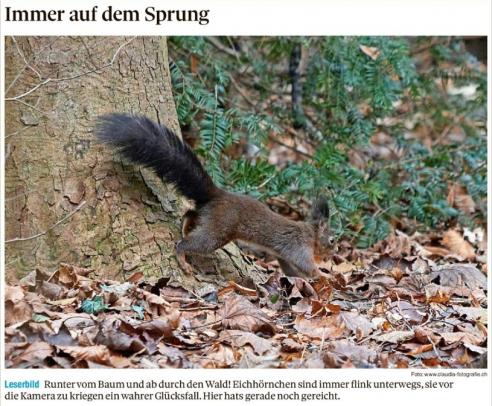 Leserbild Thuner Tagblatt und Berner Zeitung 5.Januar 2023