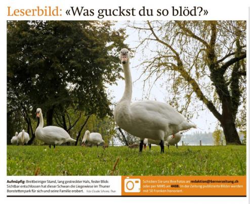 Leserbild Berner Zeitung und Thuner Tagblatt 5. September 2018