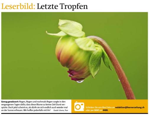 Leserbild Berner Zeitung und Thuner Tagblatt  6. August 2014