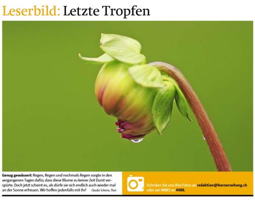 Leserbild TT und BZ 6. August 2014