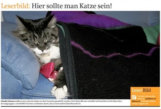 Leserbild Berner Zeitung und Thuner Tagblatt 6.Dezember 2010