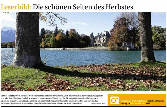 Leserbild Berner Zeitung und Thuner Tagblatt 6. November 2012