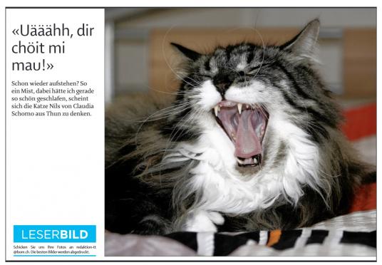 Leserbild Berner Zeitung und Thuner Tagblatt 6.Oktober 2010