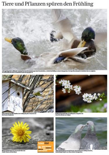 Leserbild TT und BZ 8. April 2011