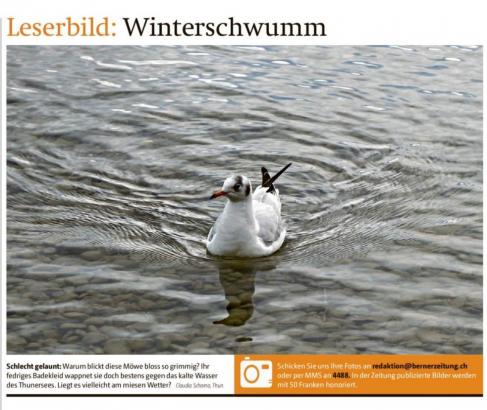 Leserbild Berner Zeitung und Thuner Tagblatt 9. Januar 2018
