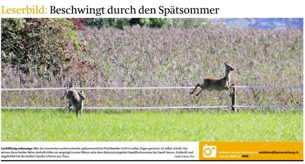 Leserbild Berner Zeitung und Thuner Tagblatt  9. September 2014