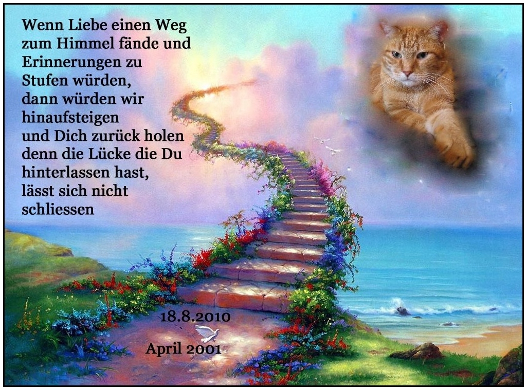 ClaudiaFotografie aus Liebe zur Natur Regenbogenbrücke