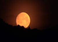 Mond