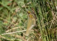 Naturschutzgebiet