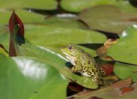 Naturschutzgebiet