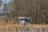 Naturschutzgebiet Gwattlischenmoos