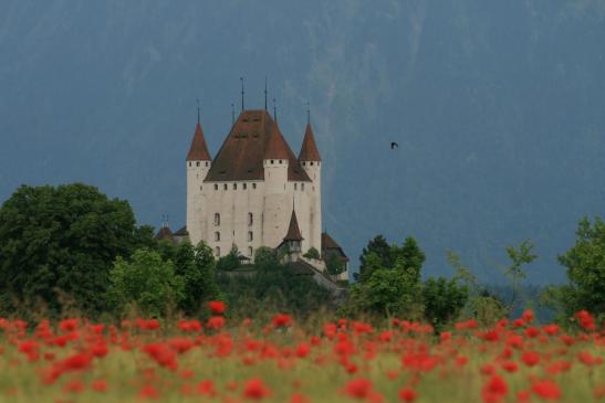 Als Mai-Foto im Kalender - Berner Oberland-Der Kalender 2013