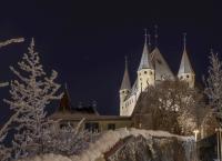 Schloss Thun