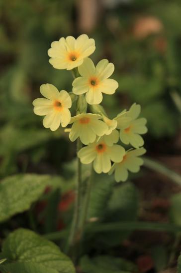 16.April 2019