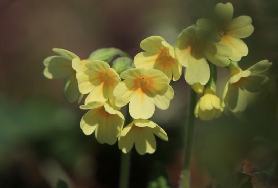29.März 2019