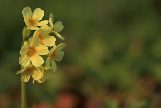 10.April 2019