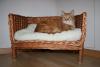 Katzen