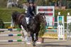 Pferde - Springreiten Thun