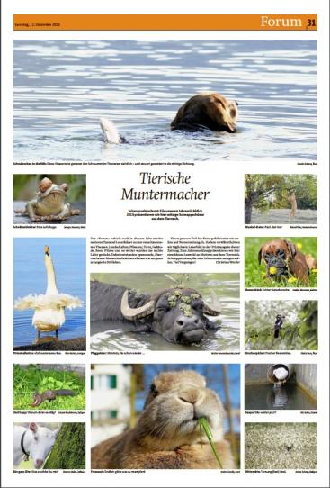 Jahresrückblick Berner Zeitung und Thuner Tagblatt 12.Dezember 2015