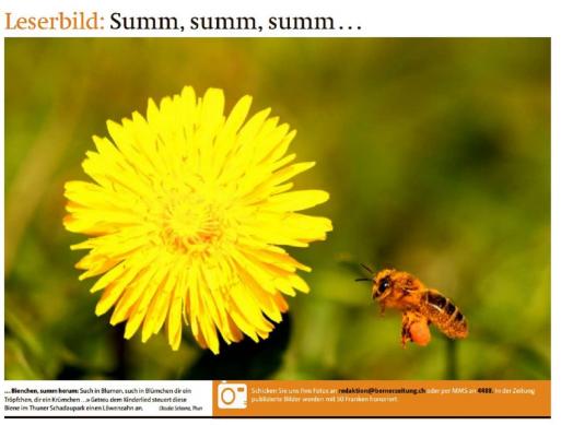 Leserbild TT und BZ 8.April 2016