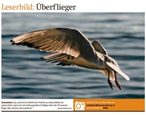 Leserbild Berner Zeitung und Thuner Tagblatt 7.Januar 2016