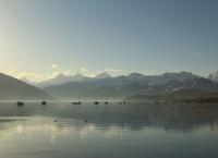 Thunersee im schönen Berner Oberland
