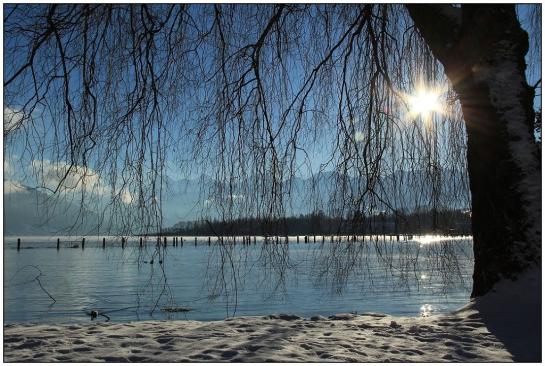 Leserbild TT und BZ 14. Dezember 2012