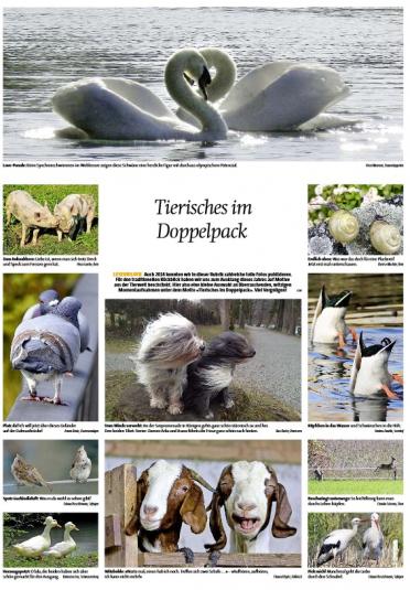 Tierisches Doppelpack TT und BZ 19.Dezember 2014