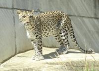 Tierpark