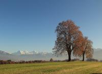 Berner Oberland