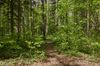 W&auml;lder