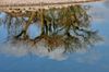 Wasser Eis